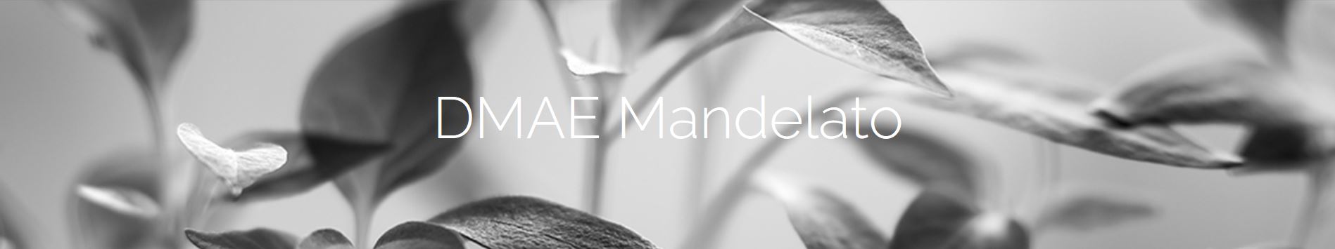  DMAE Mandelato OTI Gel fluido a base di DMAE